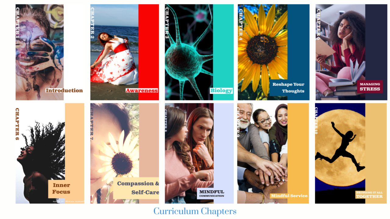 Photos of 8 chapter covers in the ExhilaFit M.A.P. Curriculum.